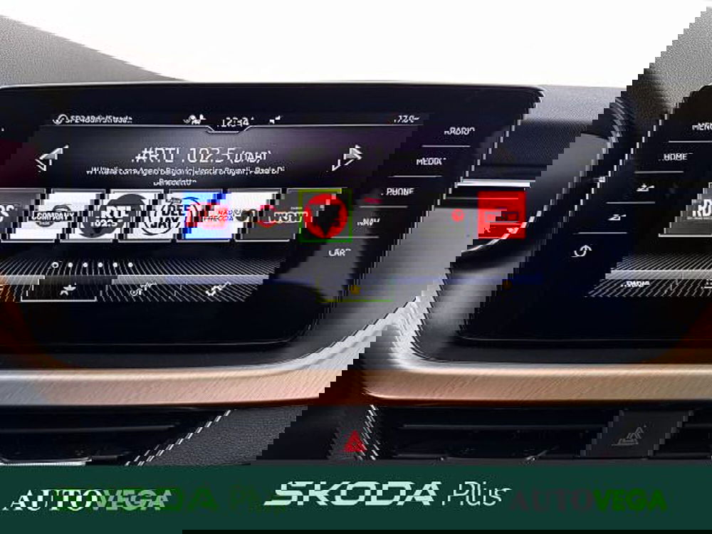 Skoda Kamiq usata a Vicenza (13)