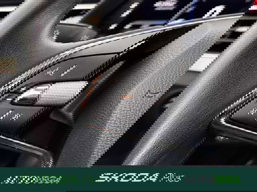 Skoda Kamiq usata a Vicenza (16)