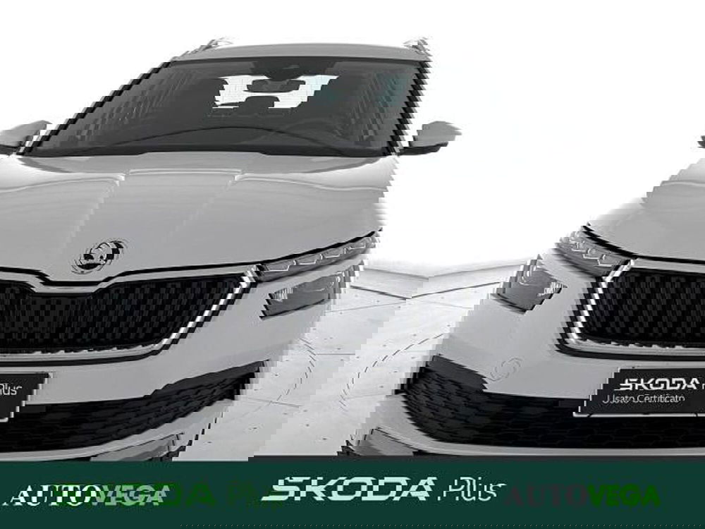 Skoda Kamiq usata a Vicenza (2)