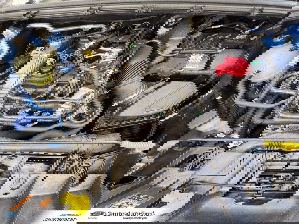 Ford Puma usata a Roma (12)