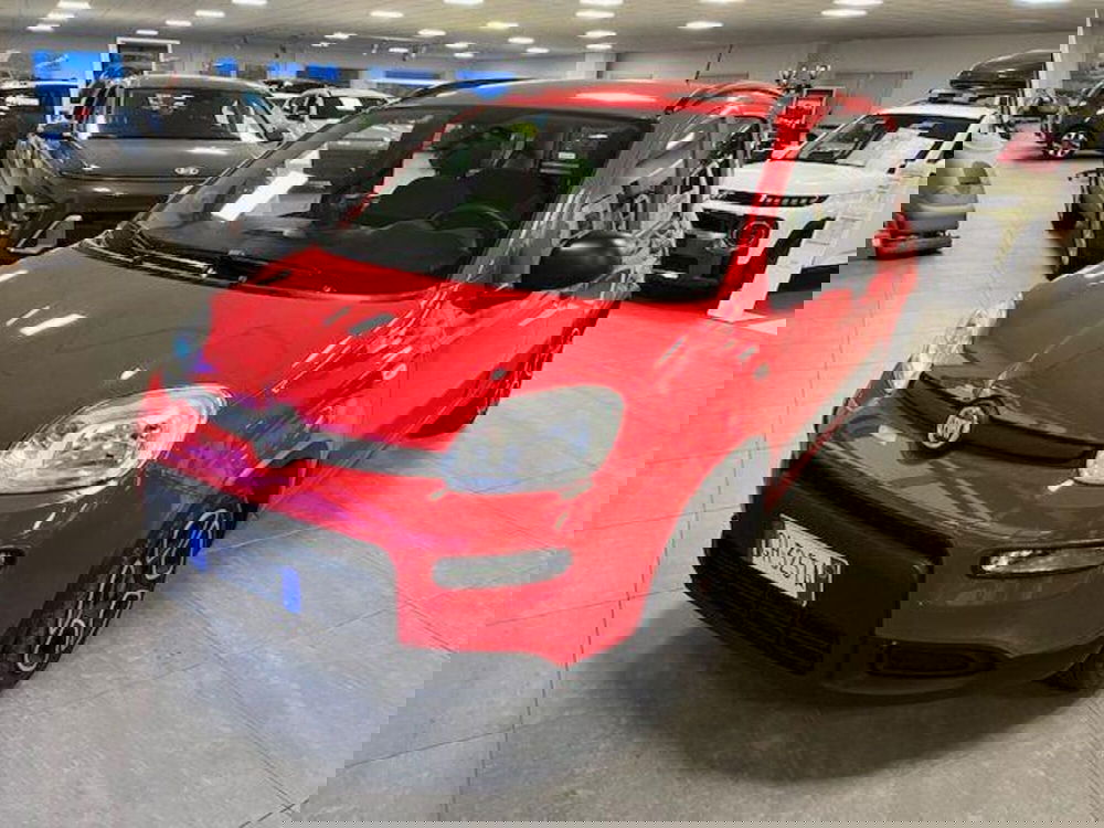 Fiat Panda usata a Verbano Cusio Ossola