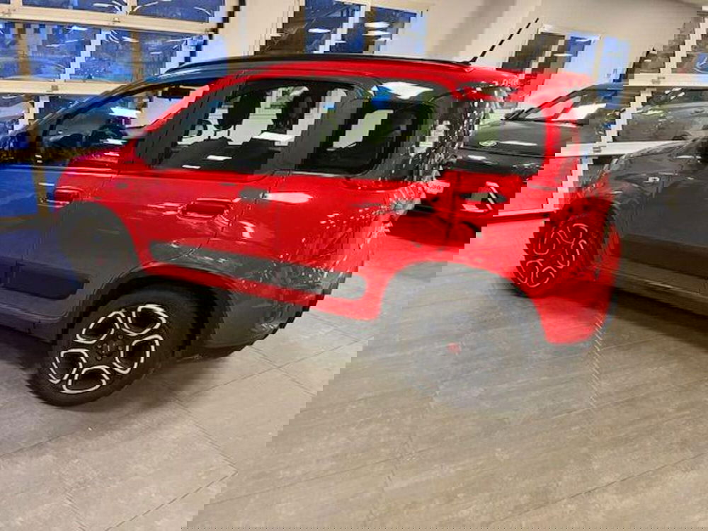 Fiat Panda usata a Verbano Cusio Ossola (2)