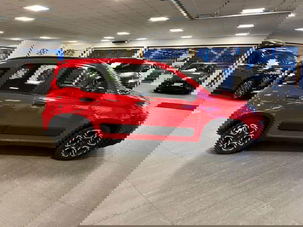 Fiat Panda usata a Verbano Cusio Ossola (8)