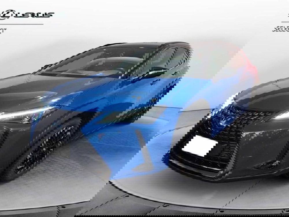 Lexus UX usata a Torino