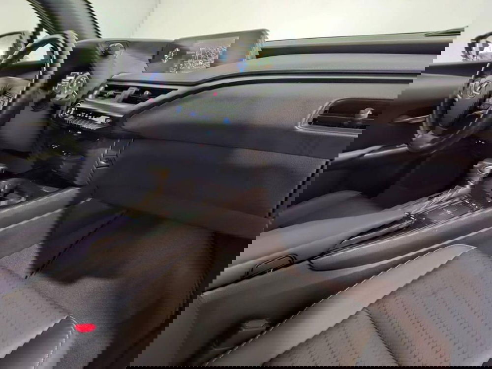 Lexus UX usata a Torino (12)