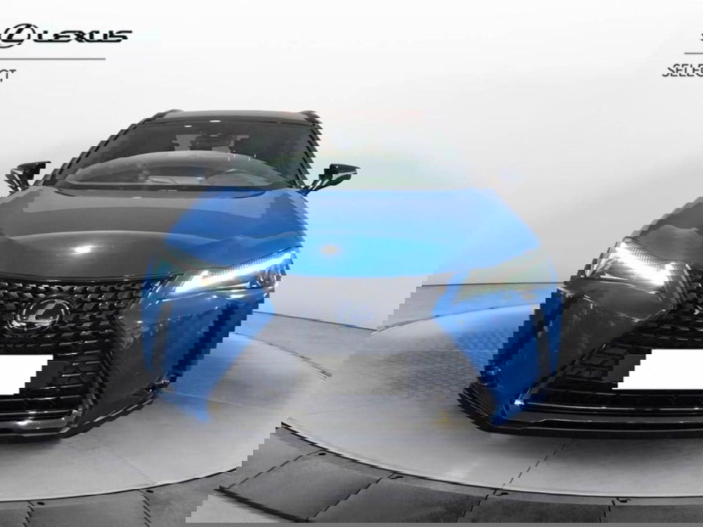 Lexus UX usata a Torino (2)