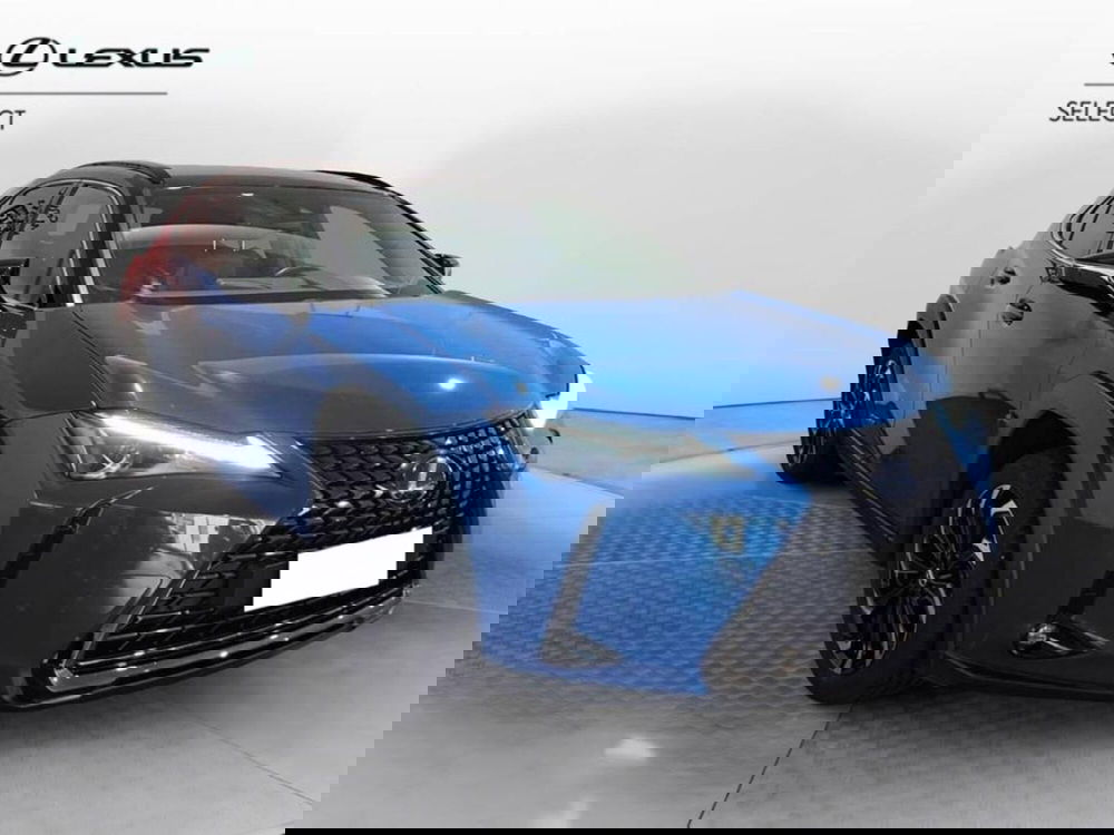Lexus UX usata a Torino (3)