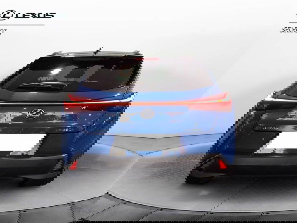 Lexus UX usata a Torino (5)