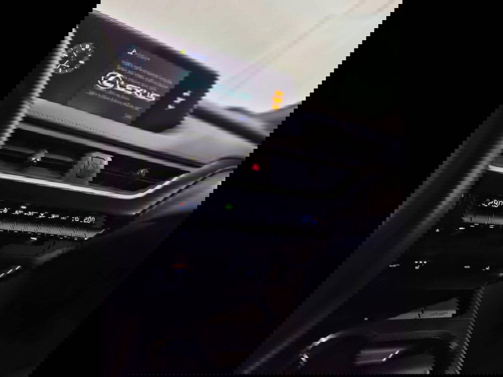 Lexus UX usata a Torino (8)