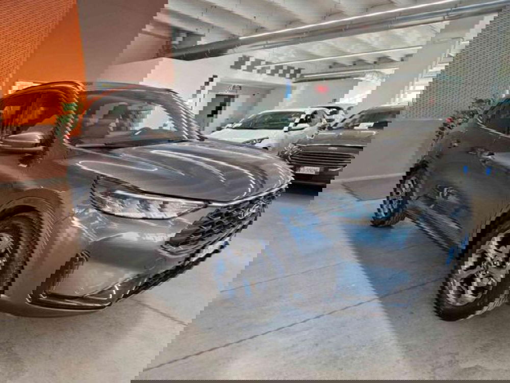 Ford Kuga usata a Bologna (3)