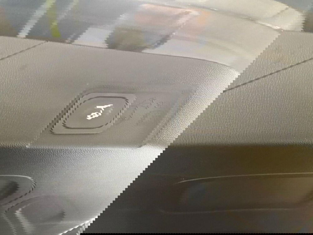 Ford Puma usata a Torino (14)