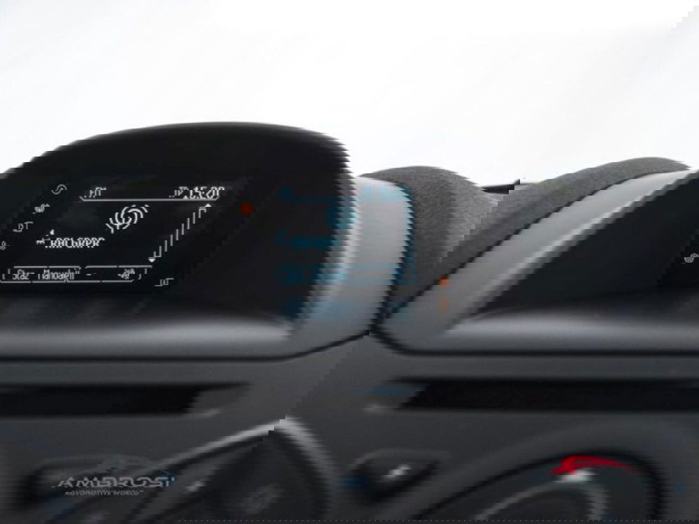 Ford Fiesta usata a Perugia (14)