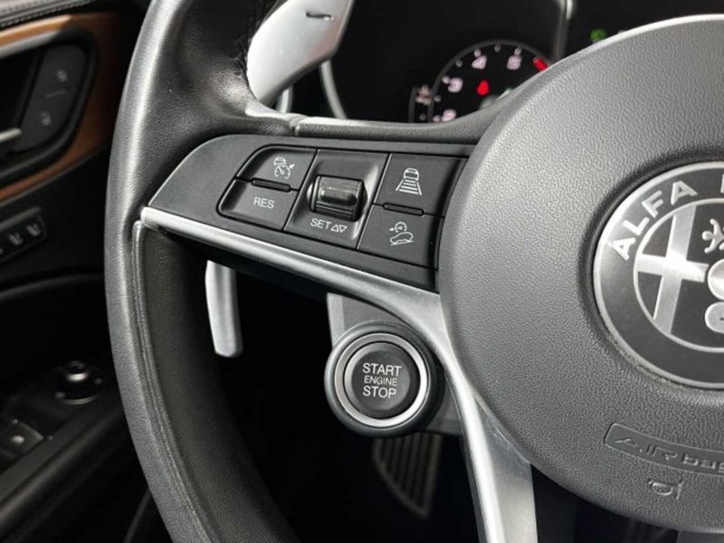 Alfa Romeo Stelvio usata a Sondrio (20)