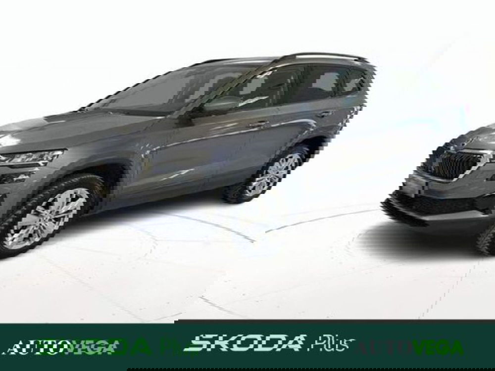 Skoda Karoq usata a Vicenza