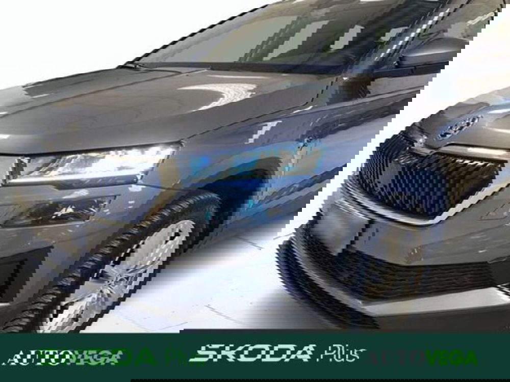 Skoda Karoq usata a Vicenza (19)