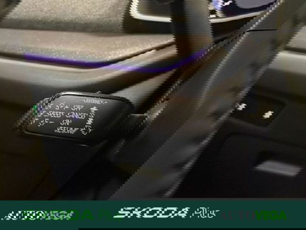 Skoda Octavia Station Wagon usata a Vicenza (16)