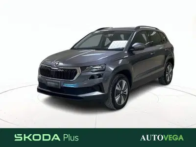 Skoda Karoq 2.0 tdi Executive 115cv del 2023 usata a Arzignano