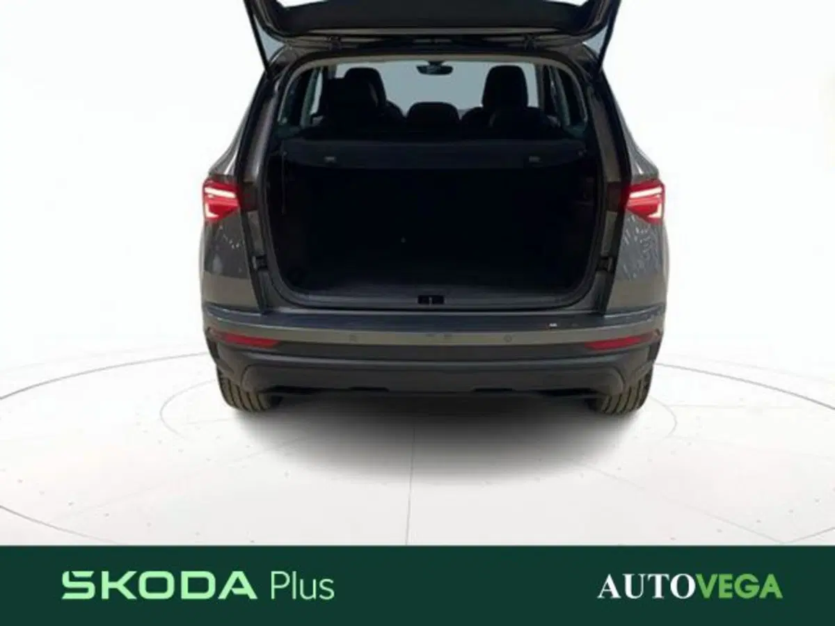 Skoda Karoq usata a Vicenza (17)