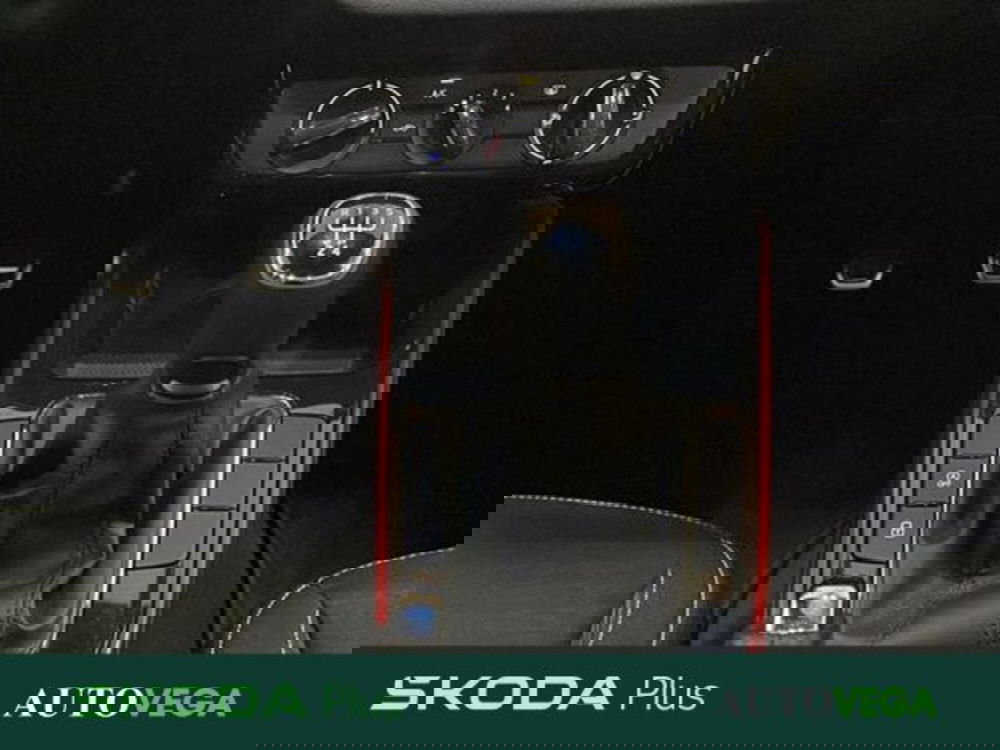 Skoda Fabia usata a Vicenza (11)