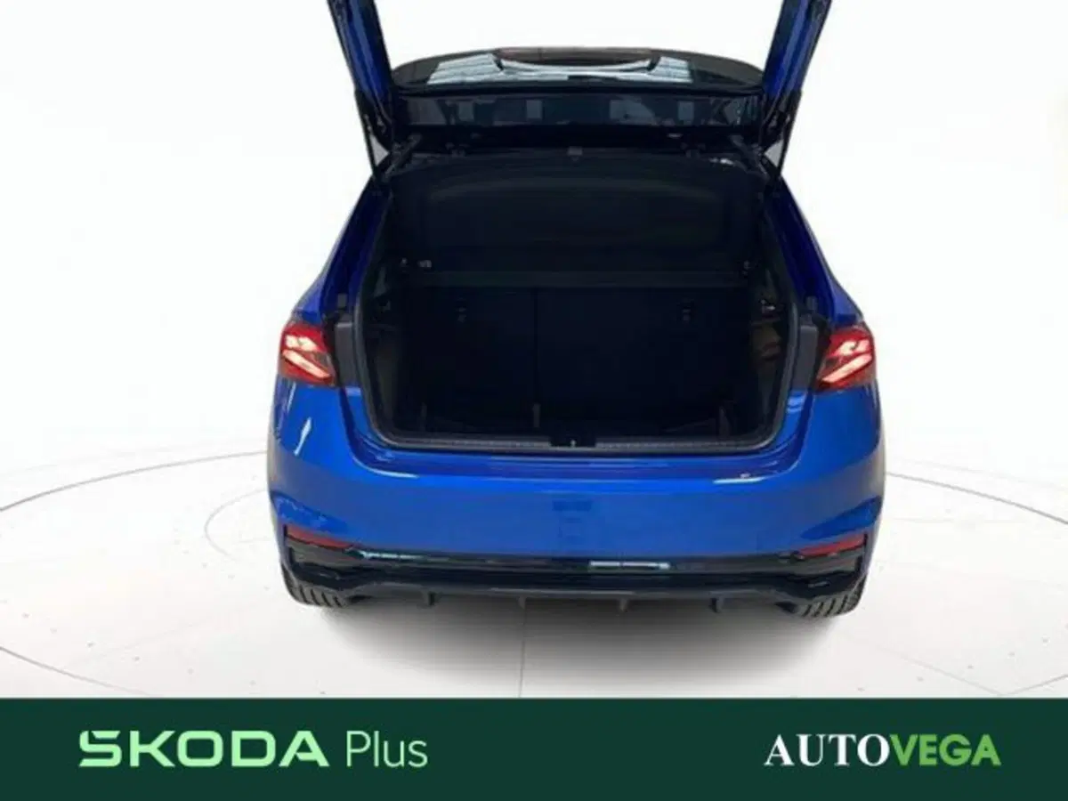 Skoda Fabia usata a Vicenza (15)