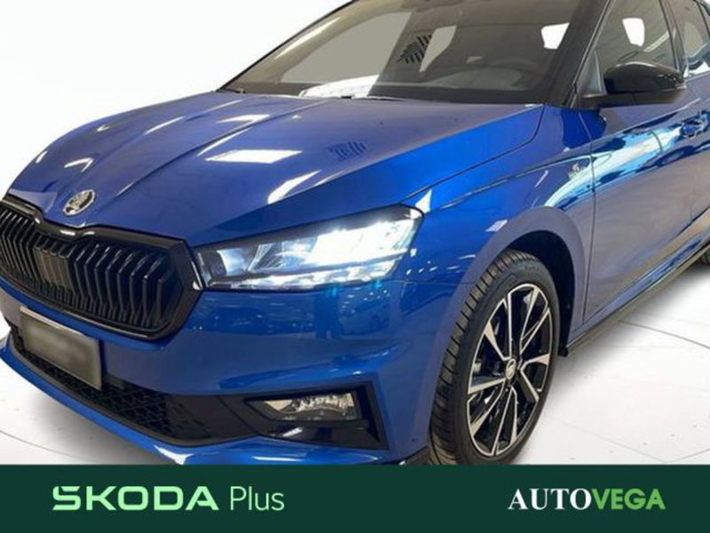 Skoda Fabia usata a Vicenza (17)