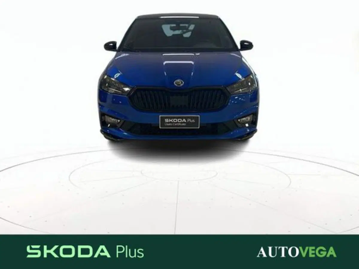 Skoda Fabia usata a Vicenza (2)