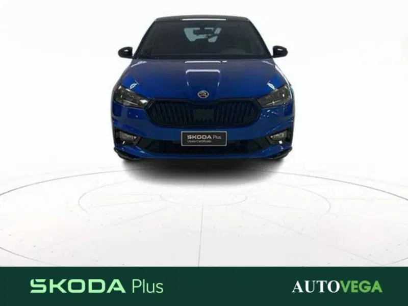 Skoda Fabia usata a Vicenza (2)