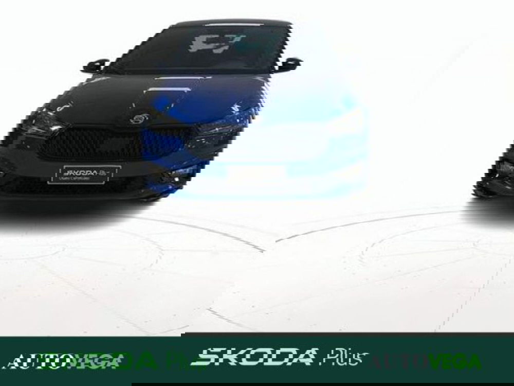 Skoda Fabia usata a Vicenza (2)