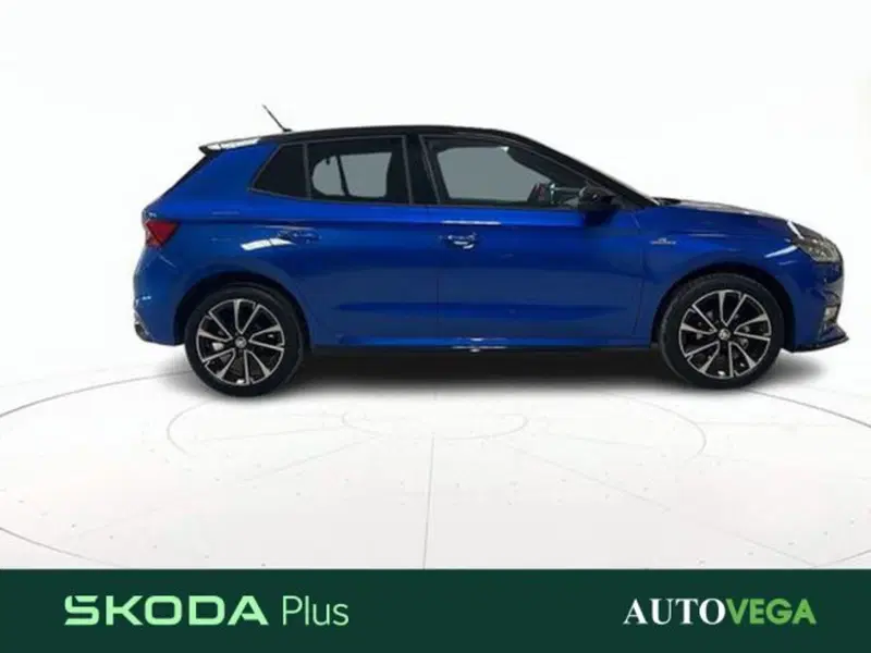 Skoda Fabia usata a Vicenza (3)