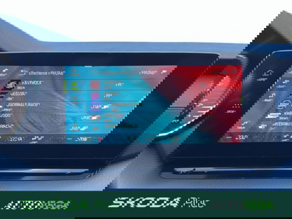 Skoda Octavia Station Wagon usata a Vicenza (14)