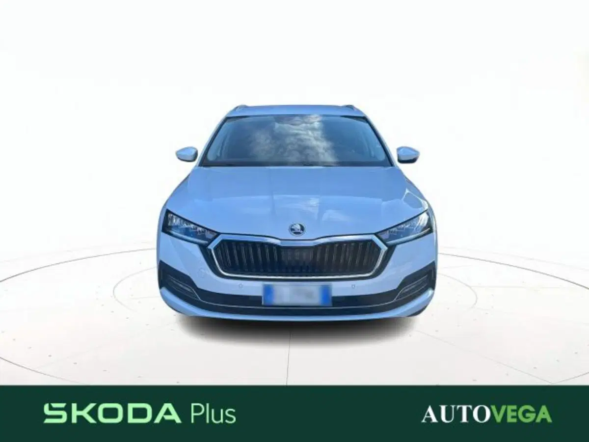 Skoda Octavia Station Wagon usata a Vicenza (2)
