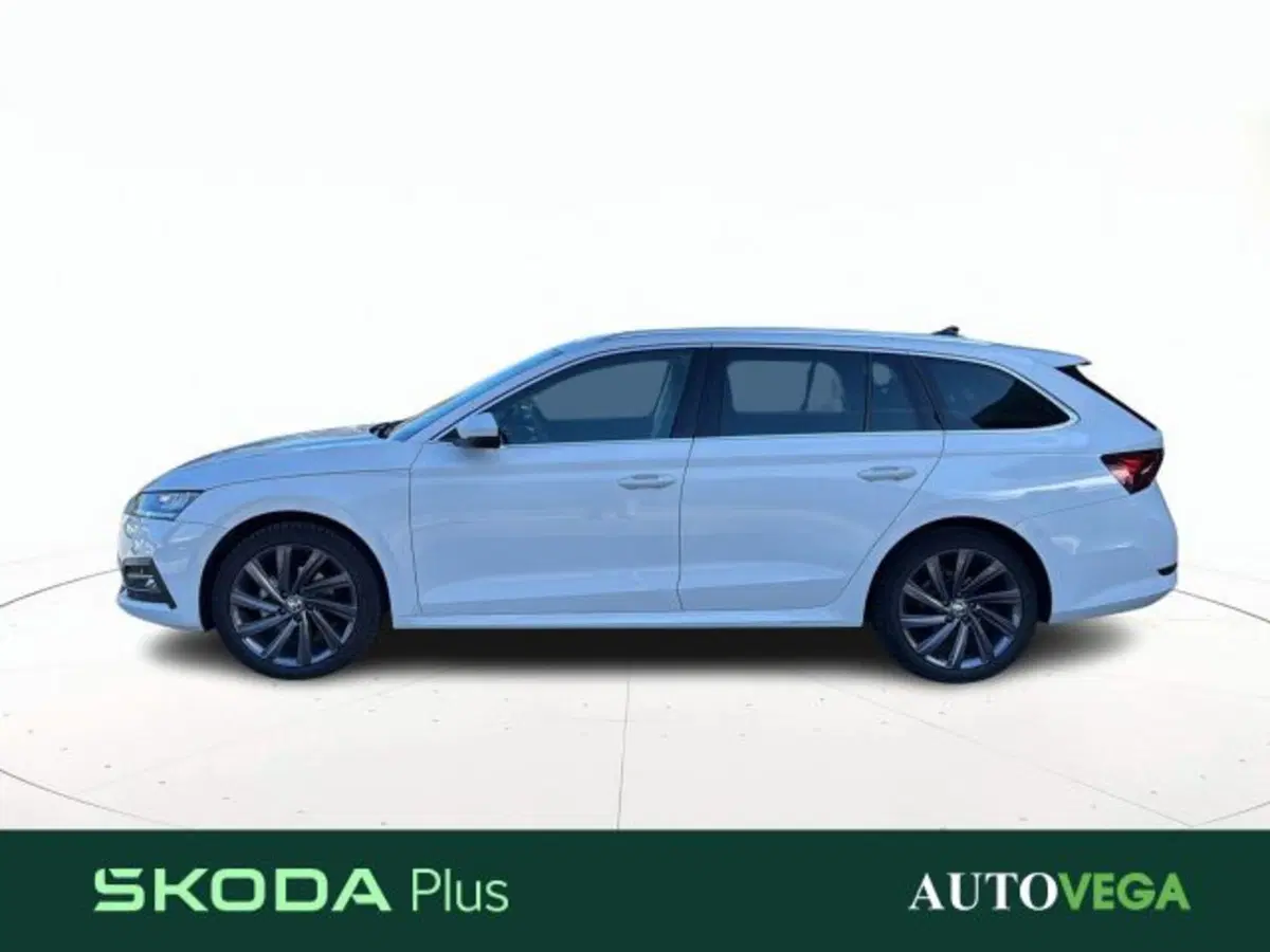 Skoda Octavia Station Wagon usata a Vicenza (6)