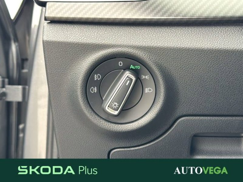 Skoda Kamiq usata a Vicenza (15)