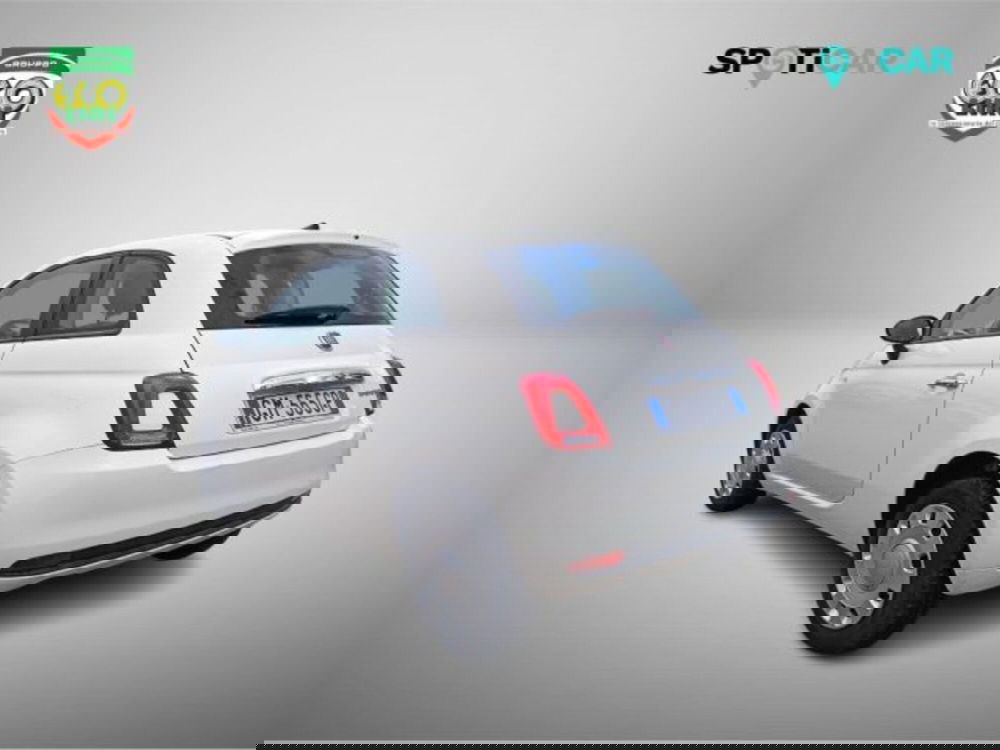 Fiat 500 usata a Frosinone (15)