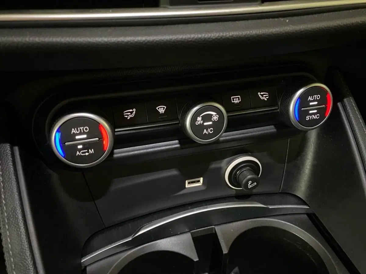 Alfa Romeo Stelvio usata a Torino (11)