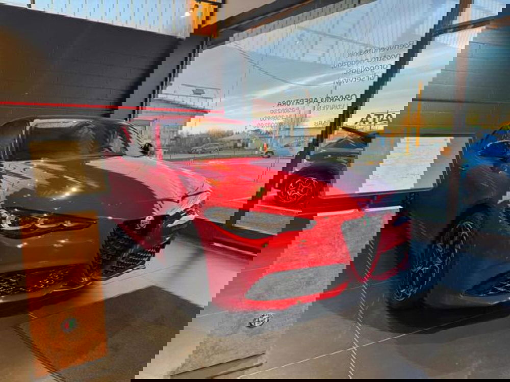 Alfa Romeo Giulia nuova a Vercelli