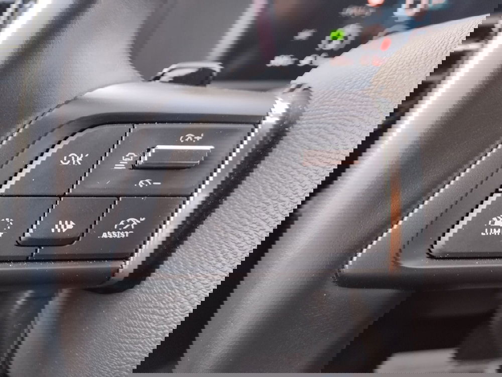 Citroen C4 usata a Asti (13)