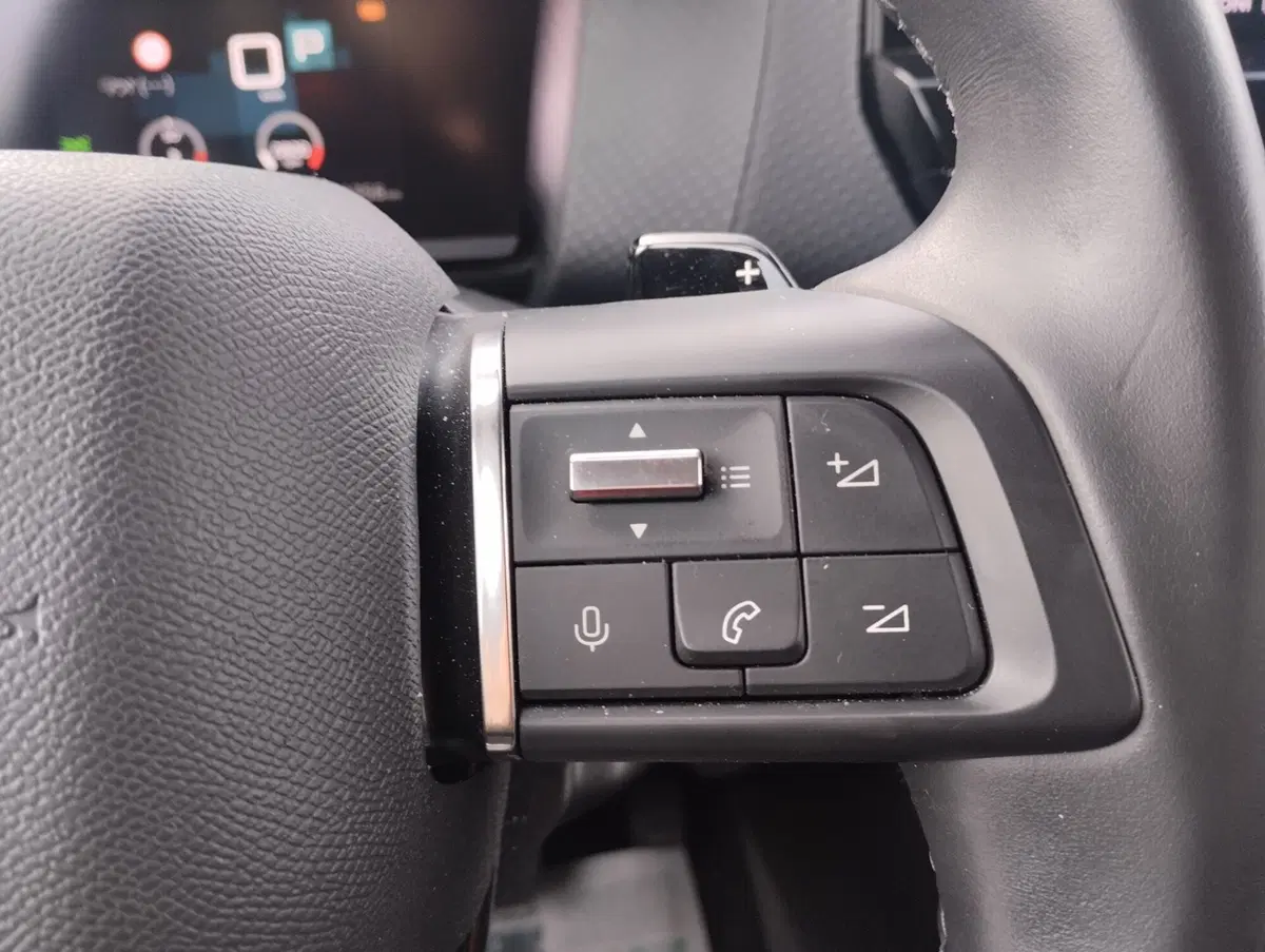 Citroen C4 usata a Asti (14)