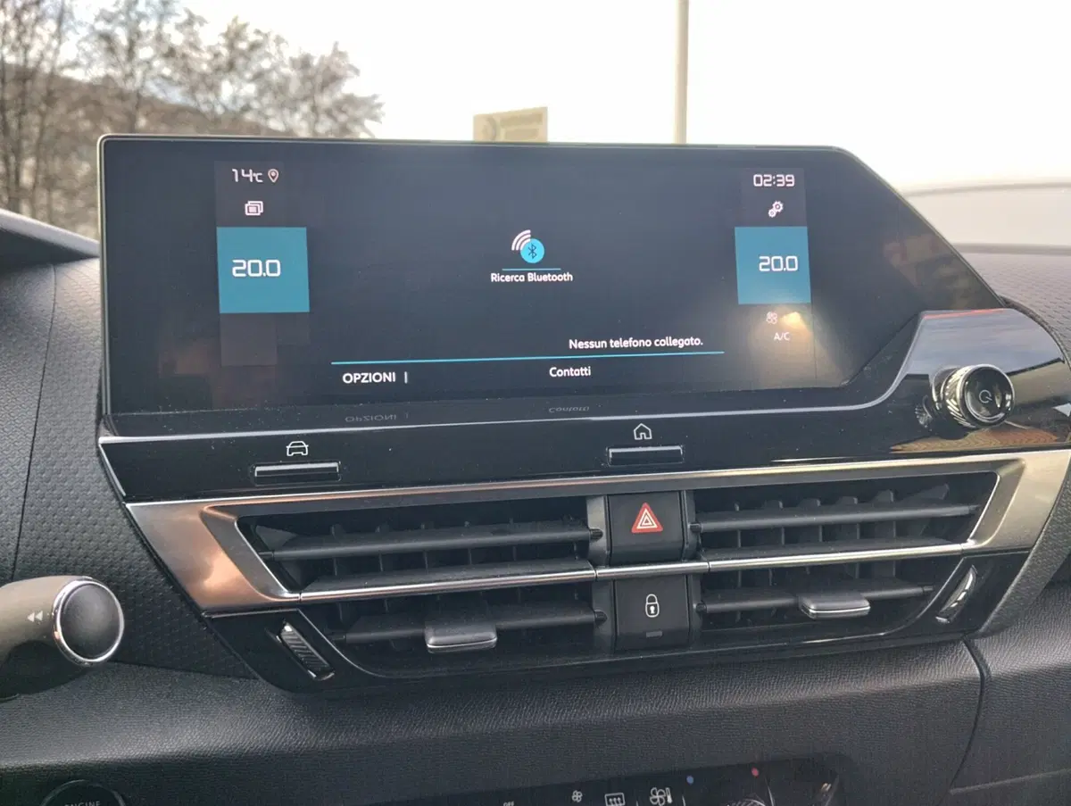Citroen C4 usata a Asti (19)
