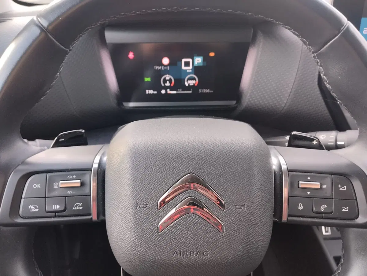 Citroen C4 usata a Asti (9)