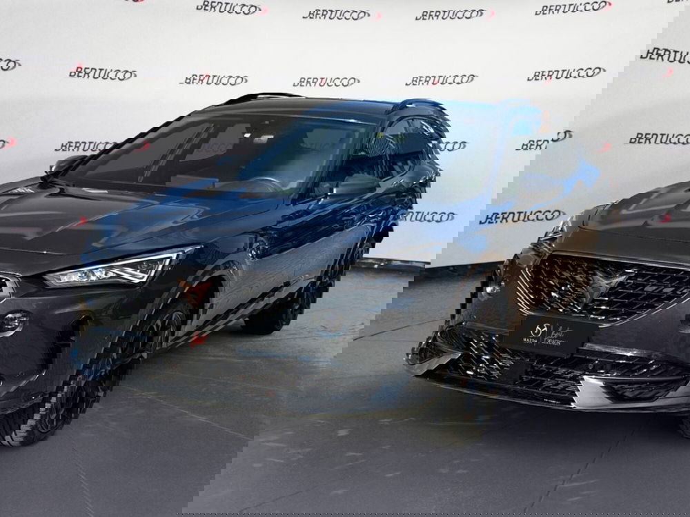 Cupra Formentor usata a Verona (3)