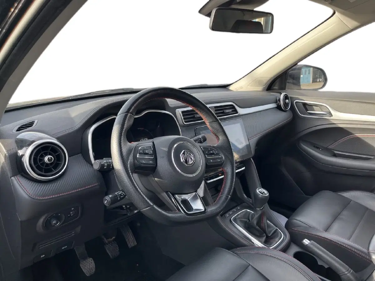 Mg ZS usata a Torino (10)