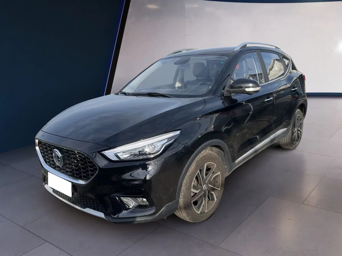 Mg ZS usata a Torino (2)
