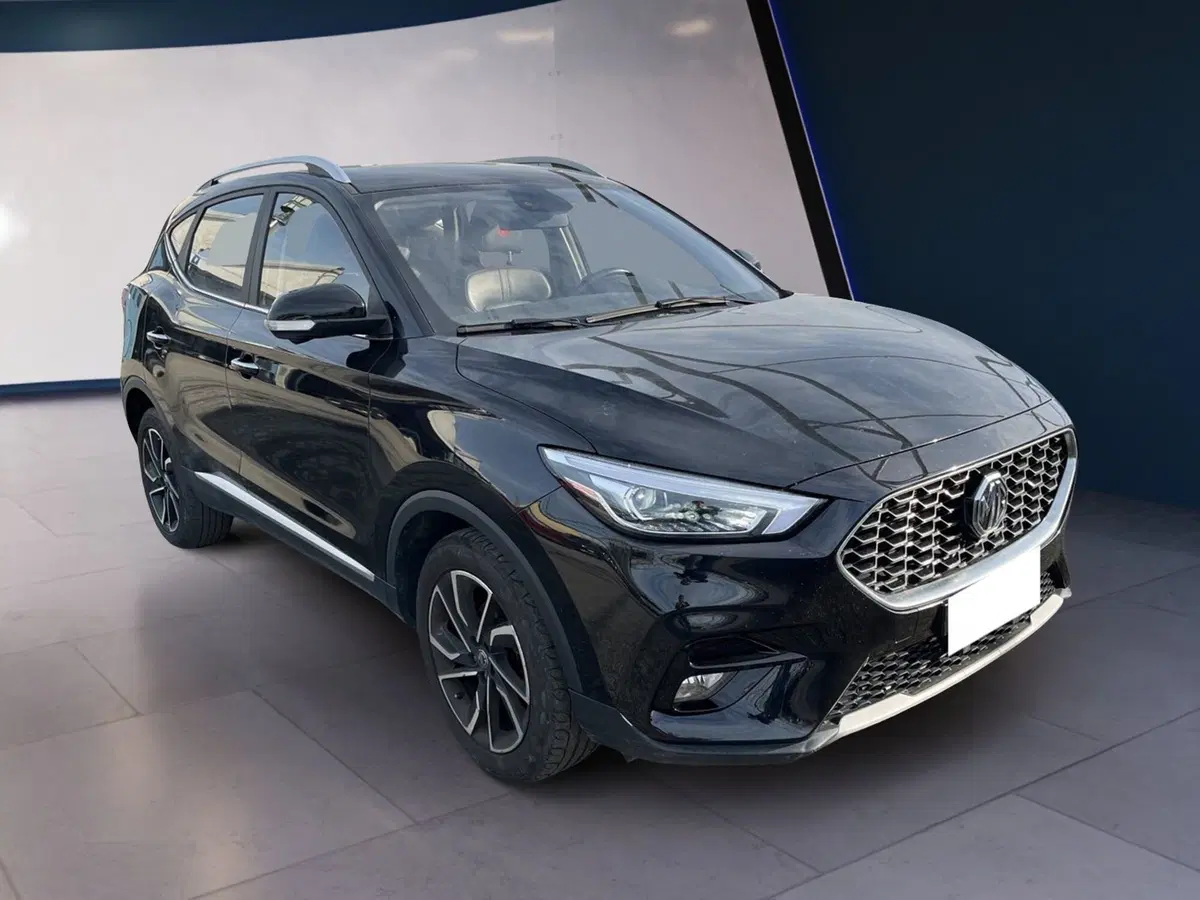 Mg ZS usata a Torino (3)