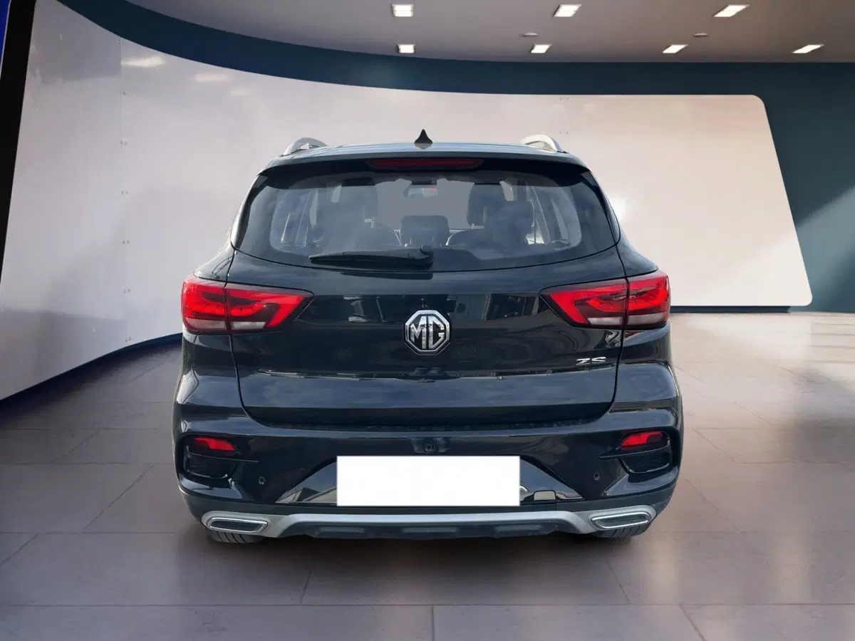 Mg ZS usata a Torino (5)