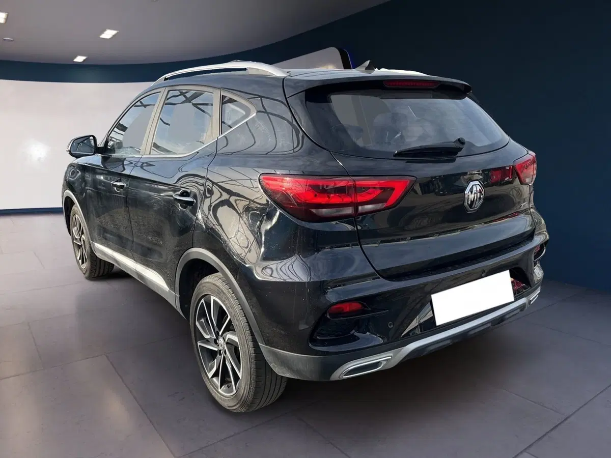 Mg ZS usata a Torino (6)