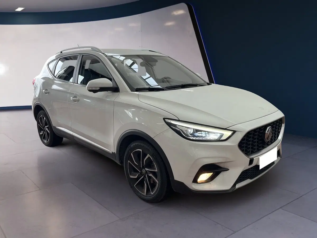Mg ZS usata a Torino (2)