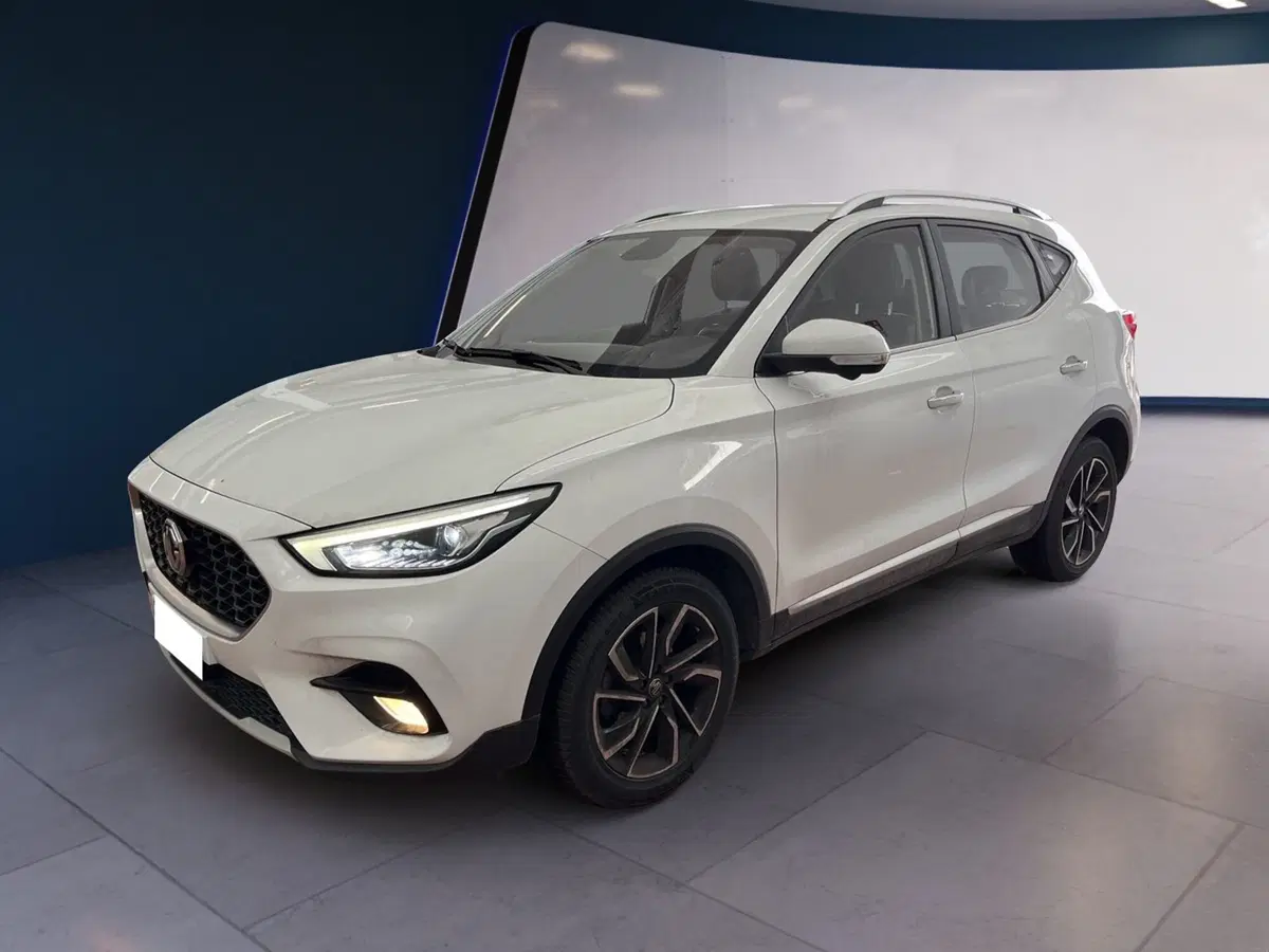 Mg ZS usata a Torino (3)