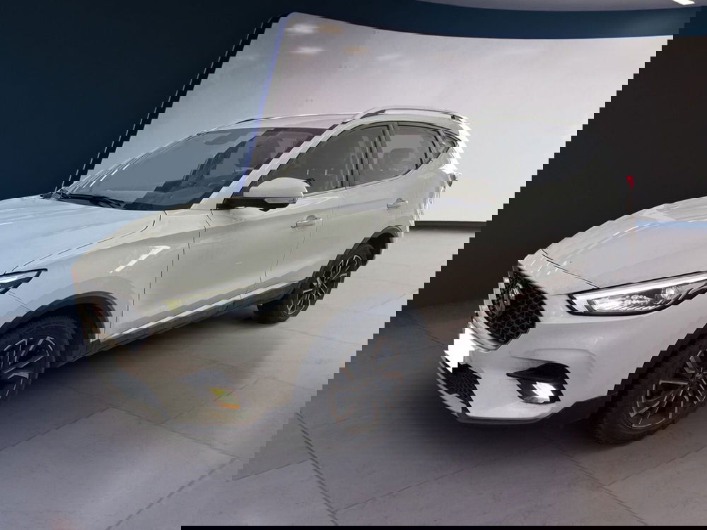 Mg ZS usata a Torino (3)