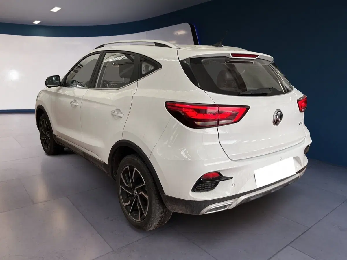 Mg ZS usata a Torino (4)